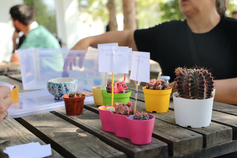 Tarsus Üniversitesi’nde Atık Plastik Kaplar Bitkilerle Yeniden Hayat Buldu
